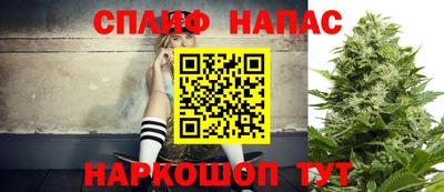 индика Шахты