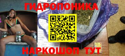 индика Шахты